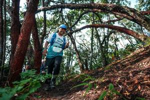 BIB: 
                            <button type="button" onclick="openModal(26346021)" class="btn btn-primary btn-sm float-right btn-popup" data-toggle="modal" data-target=".modal-high-quality">
                        <i class="fas fa-shopping-cart"></i> Add to Cart
                    </button>
                                            <button type="button" onclick="isThisMe(26346021, true)" class="btn btn-success btn-sm float-right btn-popup btn-isme hidden" data-toggle="tooltip" data-placement="bottom" title="นี่คือรูปของคุณใช่ไหม คลิกที่นี่เพื่อเอาเข้าอัลบั้ม">
                        <i class="fas fa-plus"></i> Add to album
                    </button>
                    <button type="button" onclick="isThisMe(26346021, false)" class="btn btn-warning btn-sm float-right btn-popup btn-isnotme hidden">
                        <i class="fas fa-ban"></i> Remove from album
                    </button>